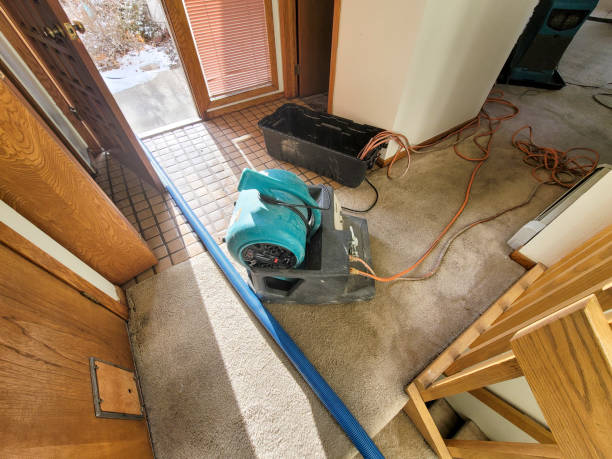 Best Local water damage restoration  in Monarch Mill, SC