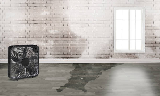 Best Flood restoration services  in Monarch Mill, SC