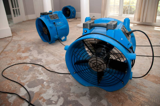 Best Carpet water damage restoration  in Monarch Mill, SC