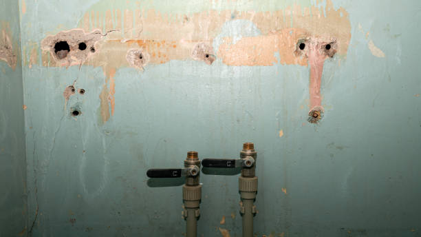 Best Flood damage cleanup  in Monarch Mill, SC