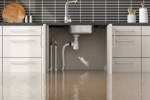 Best Water damage restoration process  in Monarch Mill, SC