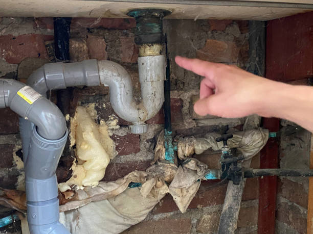 Best Mold removal after water damage  in Monarch Mill, SC
