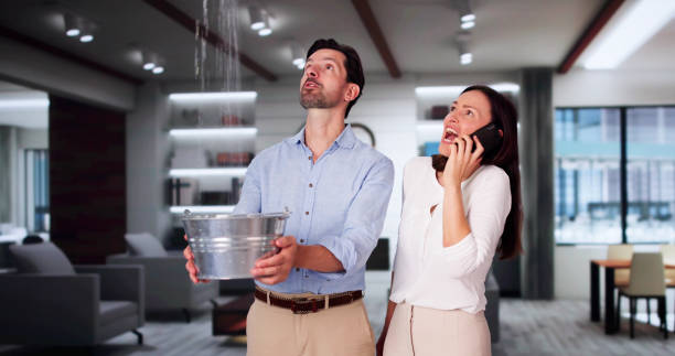 Best Ceiling water damage repair  in Monarch Mill, SC