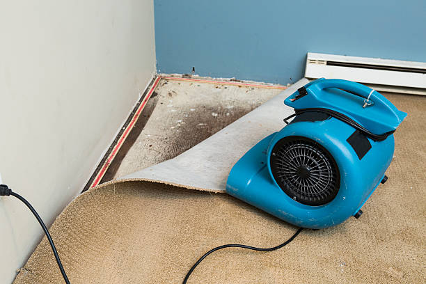 Best Fire Damage Restoration  in Monarch Mill, SC